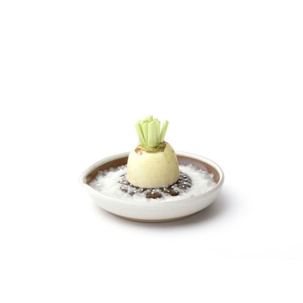 画像2: ◆おろし器  白マット（小・中・大）