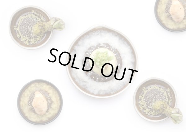 画像5: ◆おろし器  白マット（小・中・大） (5)