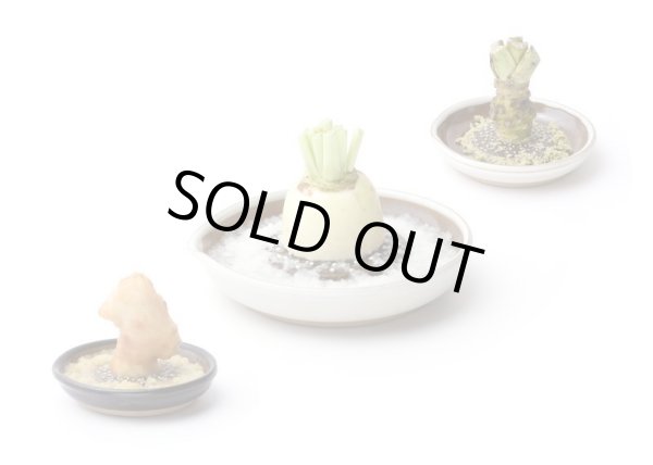 画像4: ◆おろし器  白マット（小・中・大） (4)